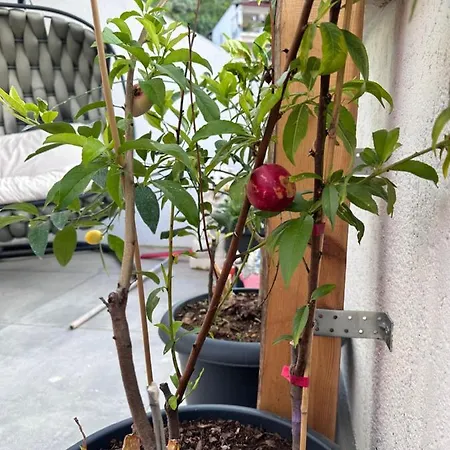 Kalite Asla Tesaduf Degildir *